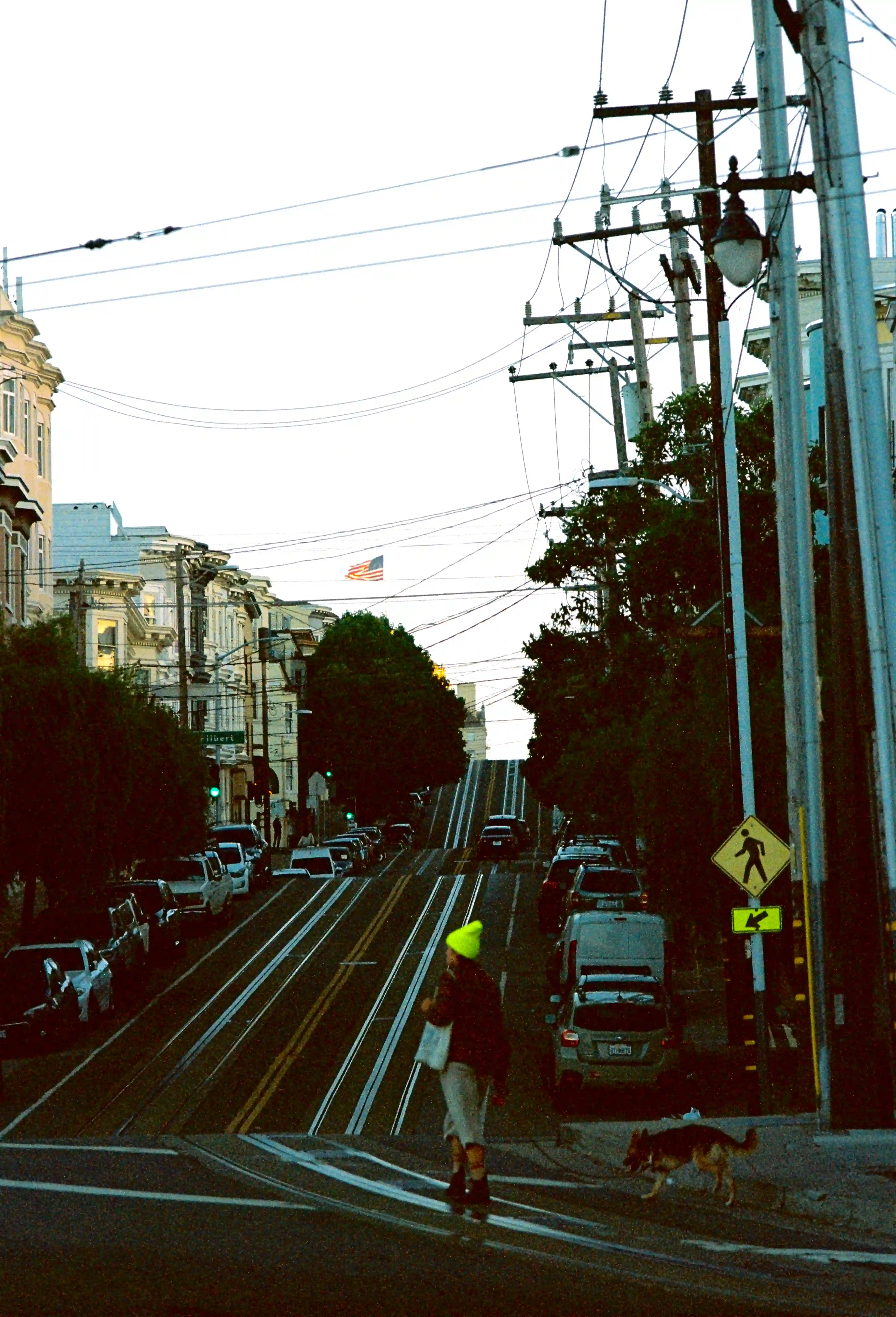 Streets of san fransisco walking with dog yellow hat US flag